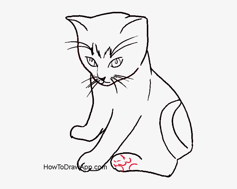 Perski - - Draw A Cat Body, transparent png #1718212