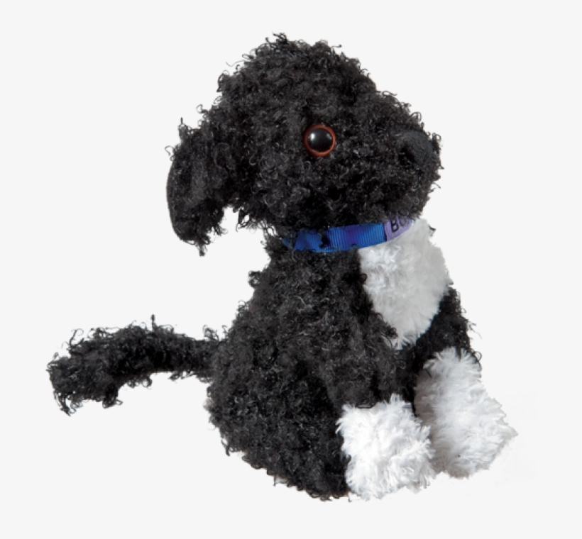 More Views - Bo Obama Plush, transparent png #1721619