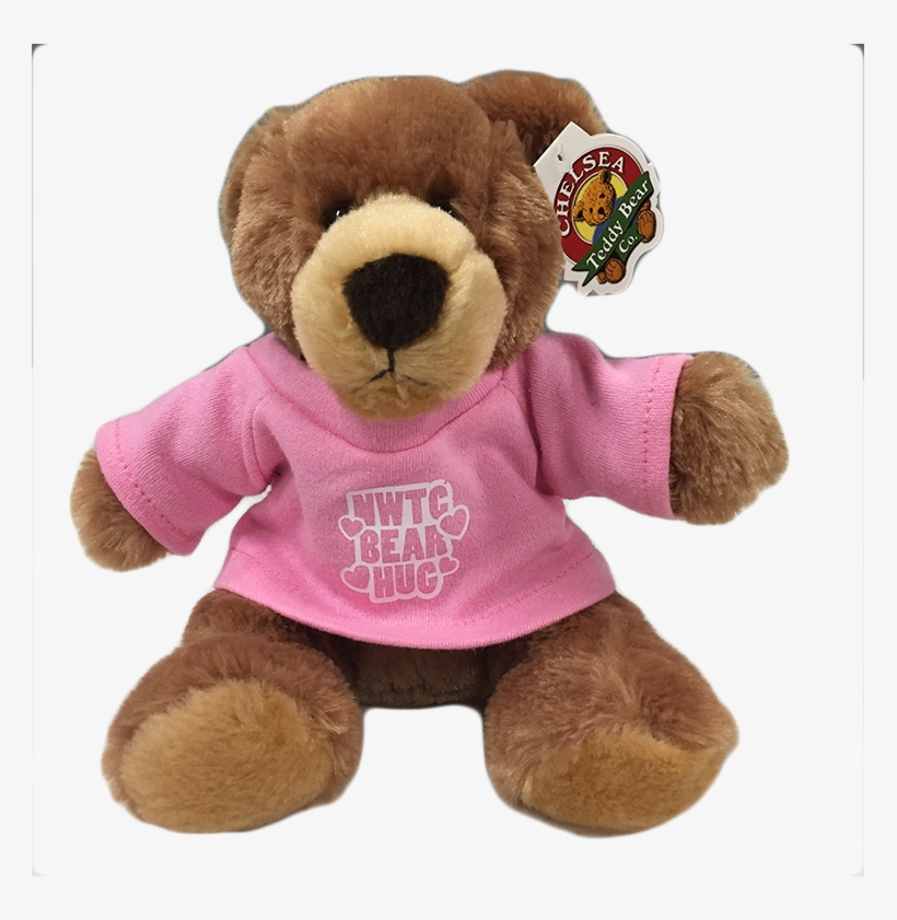 Plush Barney Bear Thumbnail - Northeast Wisconsin Technical College Bookstore, transparent png #1721672
