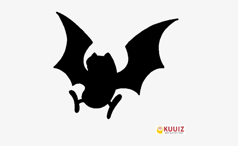 Golbat - Whos That Pokemon Golbat, transparent png #1722577