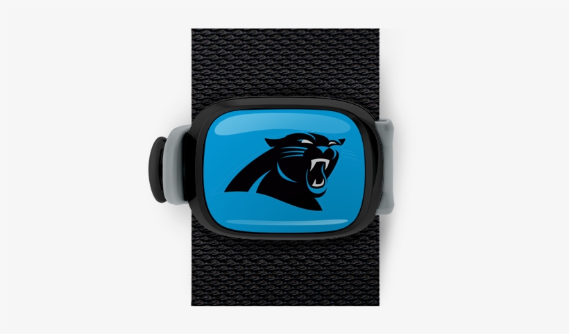 Carolina Panthers Stwrap - Carolina Panthers New, transparent png #1723440