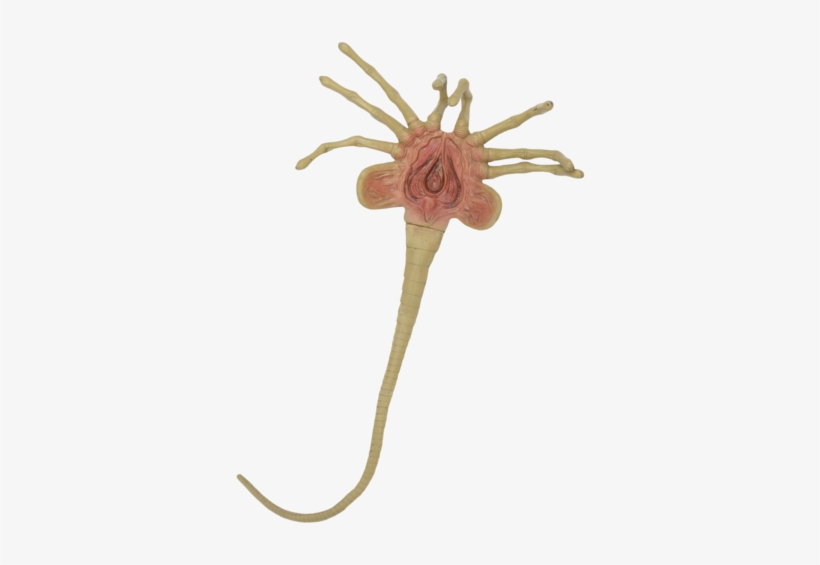 Alien Face Hugger Prop - Alien Facehugger, transparent png #1723606