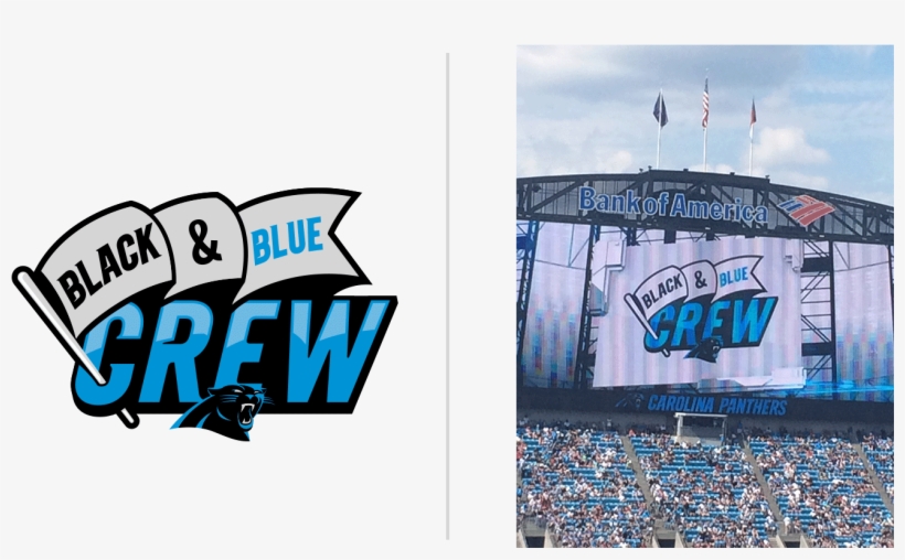 Carolina Panthers, transparent png #1723629