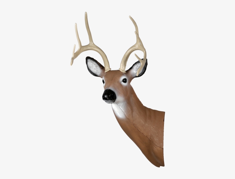 Large Alert Deer Head - Deer Head Transparent, transparent png #1724348