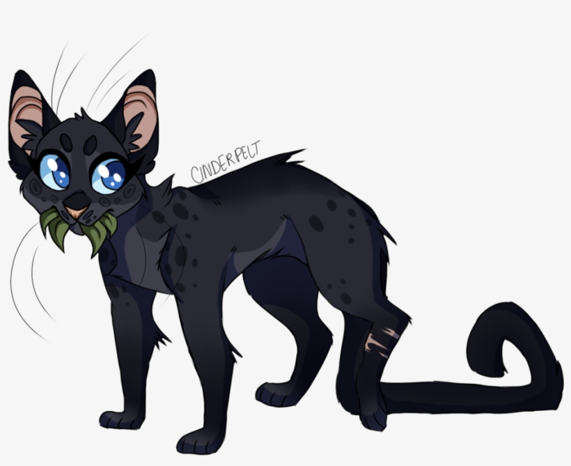 Drawn Black Cat Chibi - Warrior Cats Asteryork Sparkpelt, transparent png #1724456