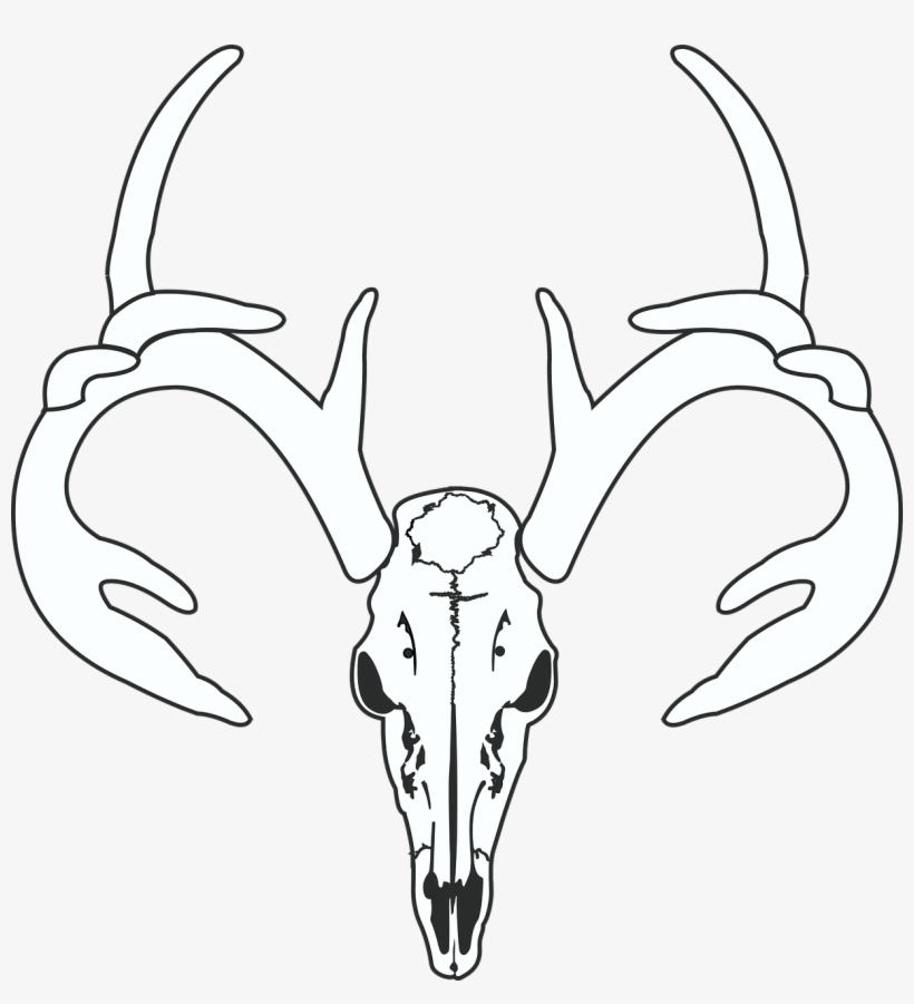 Deer Skull Hunt - Gambar Tengkorak Kepala Rusa, transparent png #1724548
