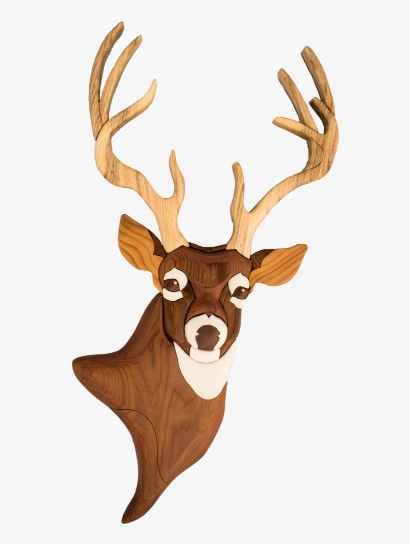 Related Posts - Deer, transparent png #1724789