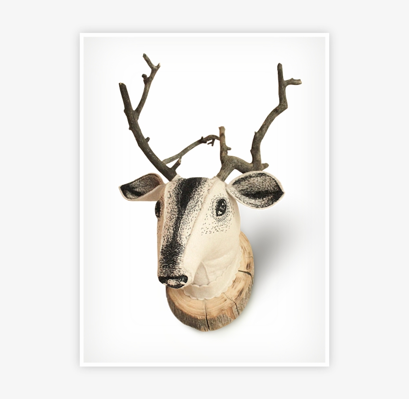 Deer, transparent png #1724813
