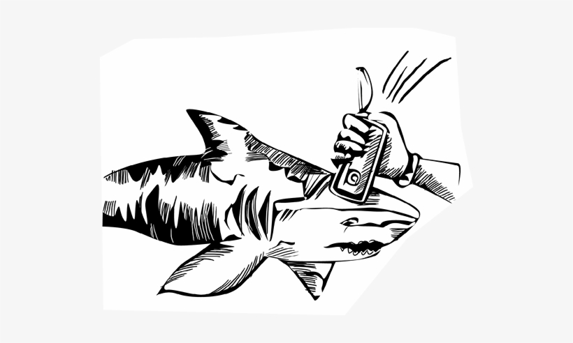 Illustration, transparent png #1725332