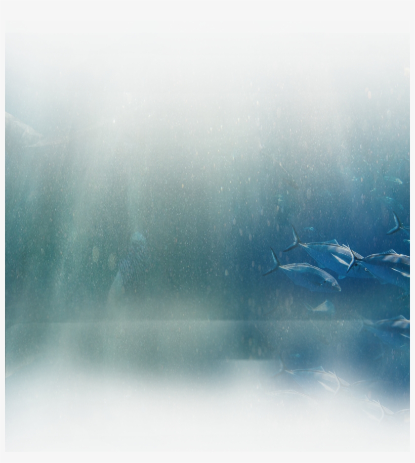 Image Description - Underwater, transparent png #1725385