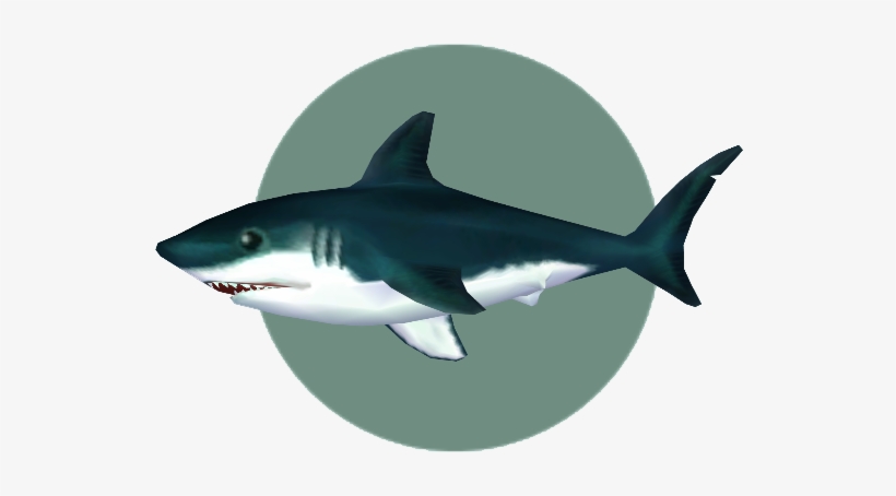 Graphic Transparent Library Image Shark City Folk Png - Shark Animal Crossing, transparent png #1725508