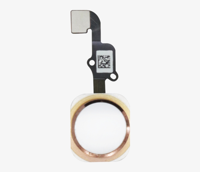 Iphone 6s And 6s Plus White/rose Gold Home Button Assembly - Iphone 6s Home Button Flex Cable Assembly, transparent png #1725702