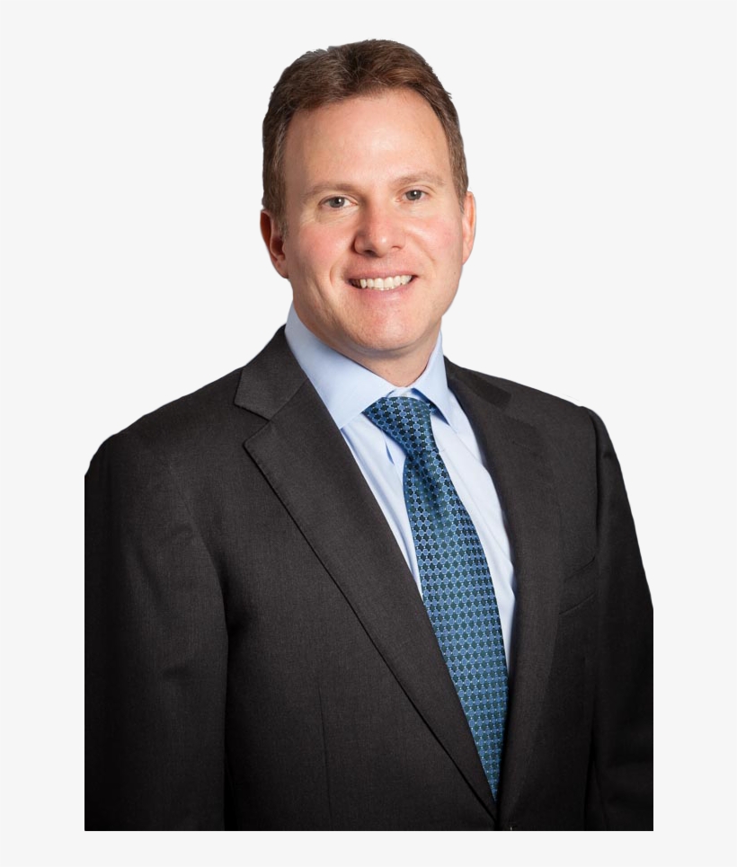 Commercial Litigation & Corporate Lawyers - Michael S Kaufman Esq, transparent png #1726513