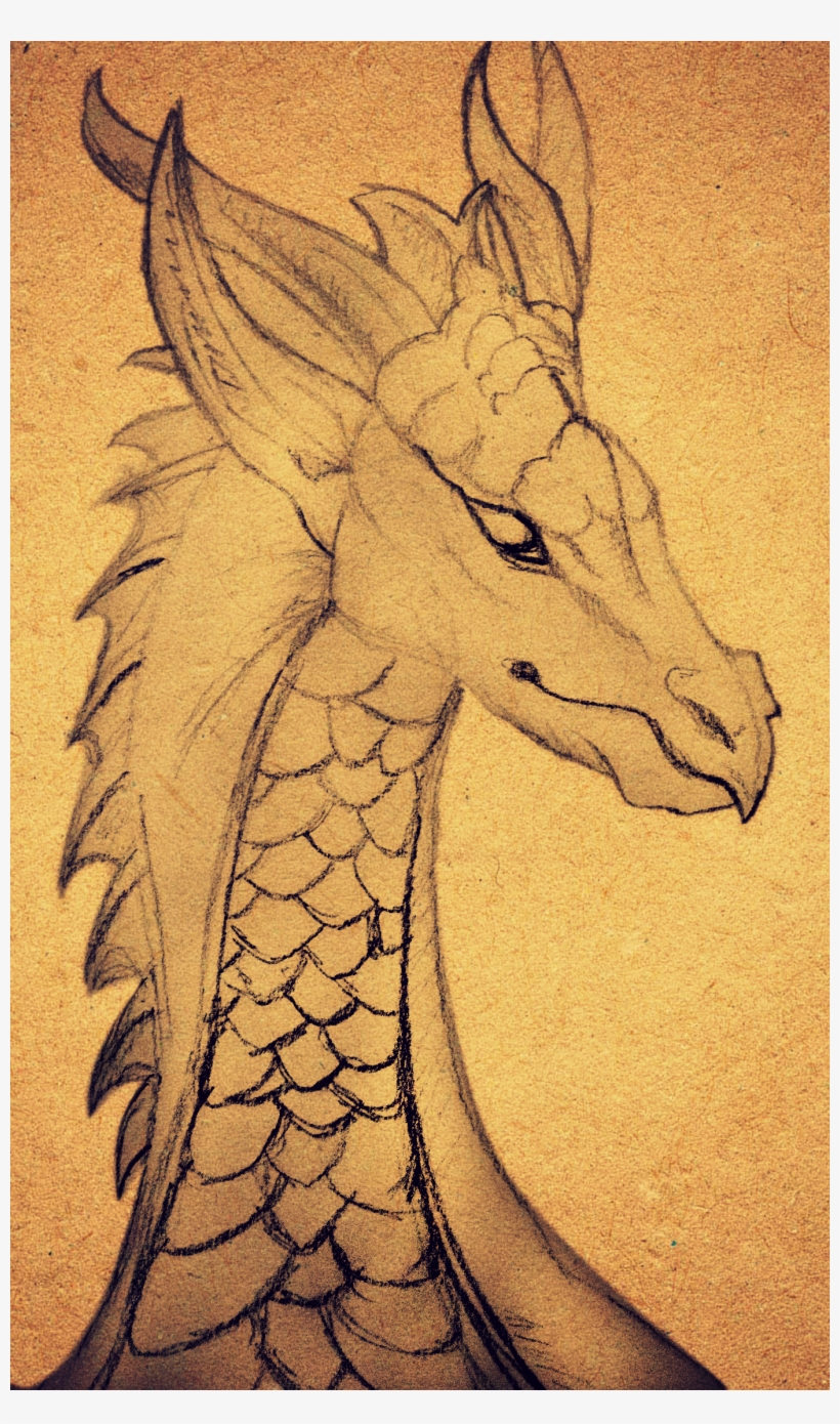 Dragon Skech Illustrations Pinterest Dragons Painting - Drawing, transparent png #1727883