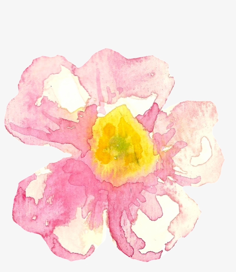 Rosa Dumalis, transparent png #1728626