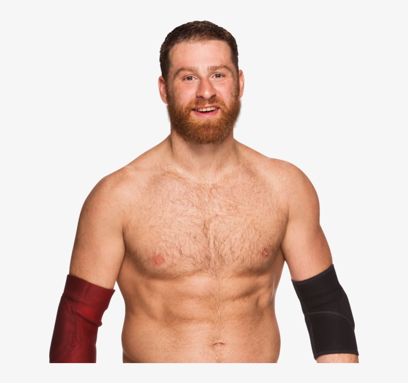 Sami Zayn - Sami Zayn Png, transparent png #1730966