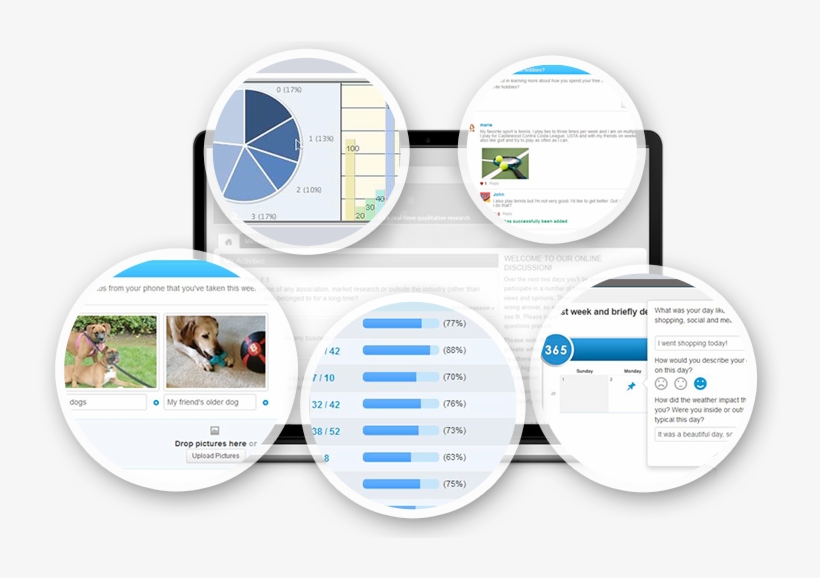 Online Bulletin Boards - Circle, transparent png #1730985