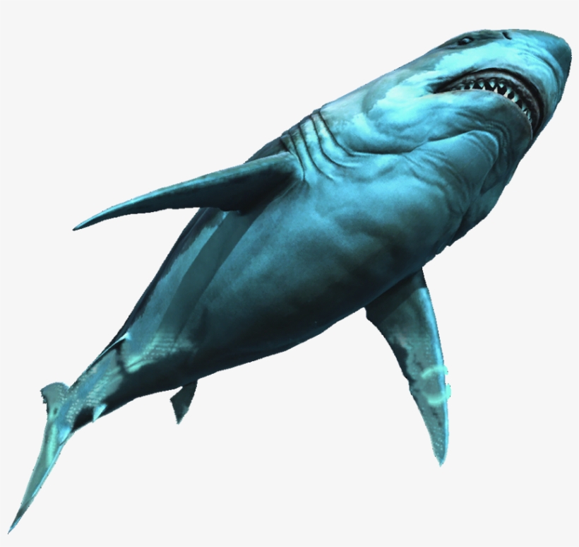 Great White Shark - Great White Shark Png, transparent png #1731544