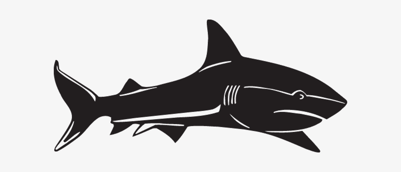 Shark, transparent png #1731656