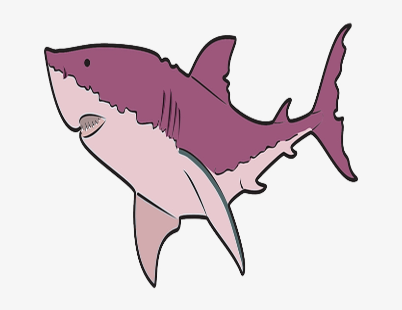 Shark - Requiem Shark, transparent png #1731811