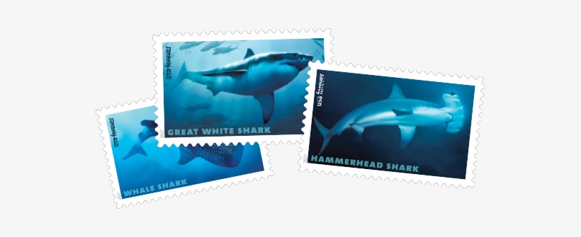 Photo Of The Sharks Stamps - Shark Sheet Of 20 Forever Usps First Class One Ounce, transparent png #1731990