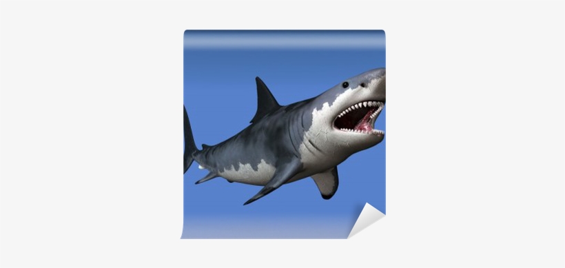 Great White Shark, transparent png #1732017