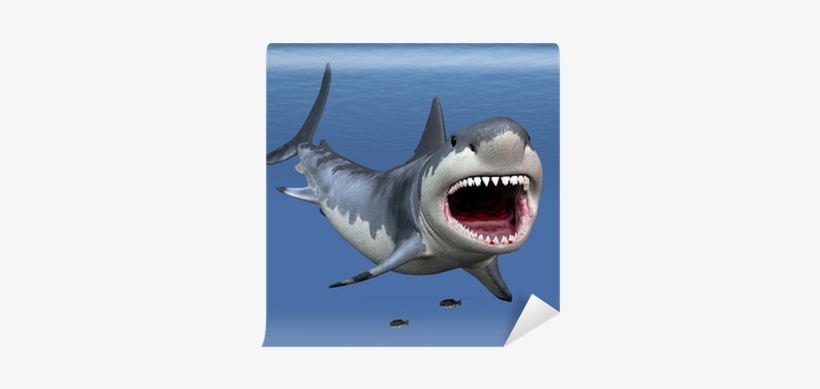Great White Shark, transparent png #1732196