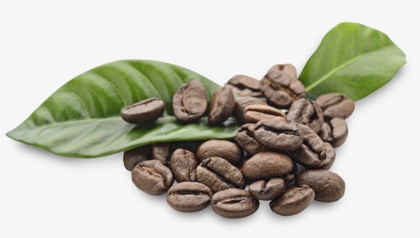 Arabica Coffee Beans Png, transparent png #1732464