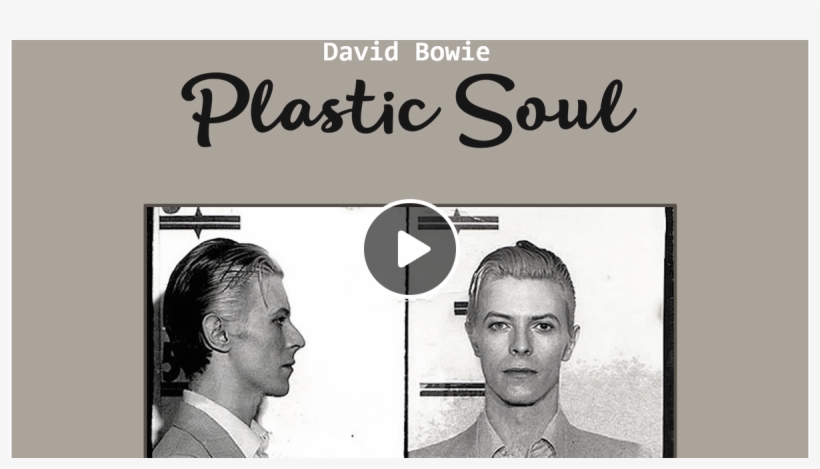 Society Of The Prevention Of Cruelty, transparent png #1733504