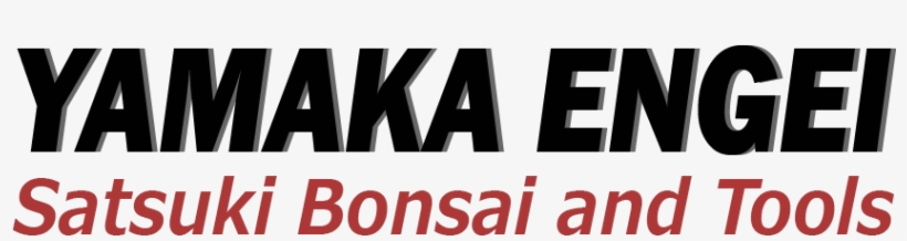 Bridgestone Logo No Background, transparent png #1733775