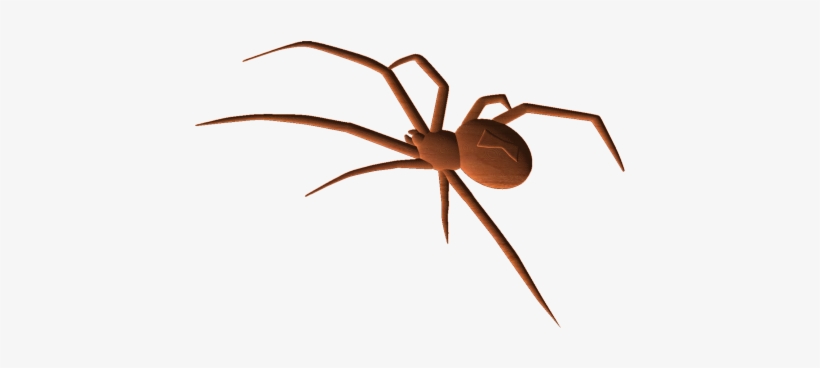 Blackwidow Spider - Spider, transparent png #1735032