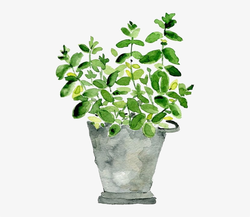 Report Abuse - Plant Watercolor Art, transparent png #1735136