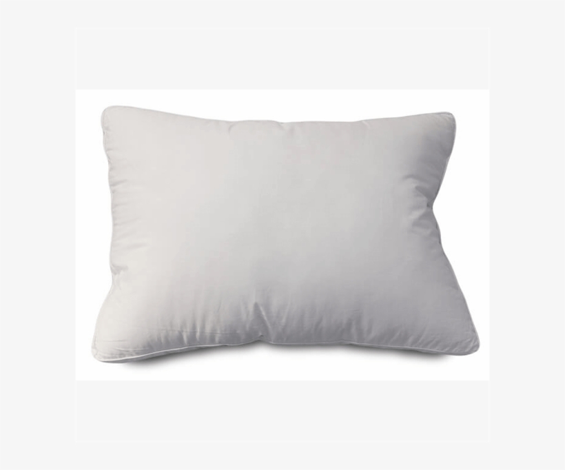 The Plush Pillow - Cushion, transparent png #1735207