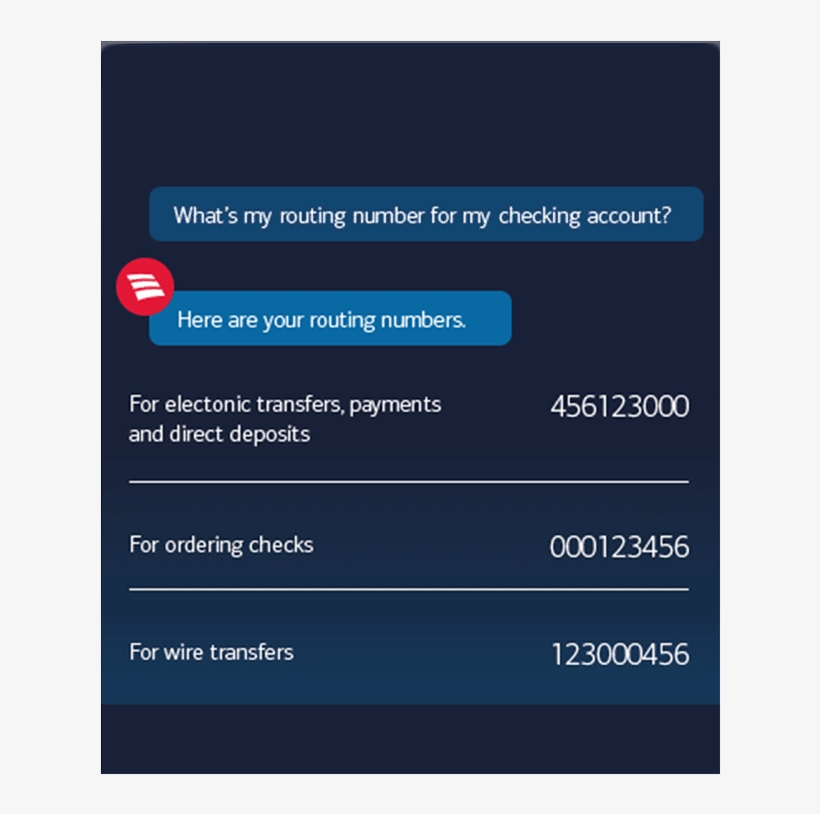 Plus, Erica Can Help You - Boa Erica, transparent png #1735276