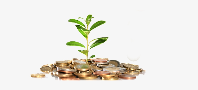 Money Tree Png - Low To Mid-middle Class Moving Up, transparent png #1735612