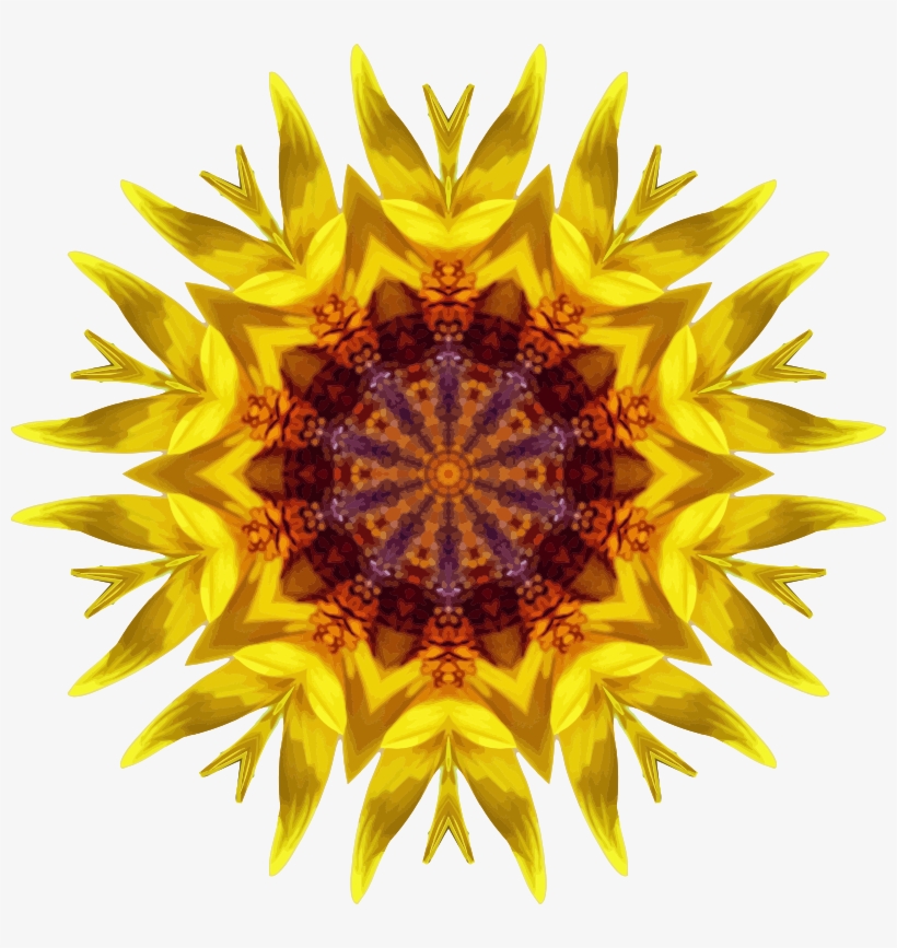 Medium Image - Common Sunflower, transparent png #1735662