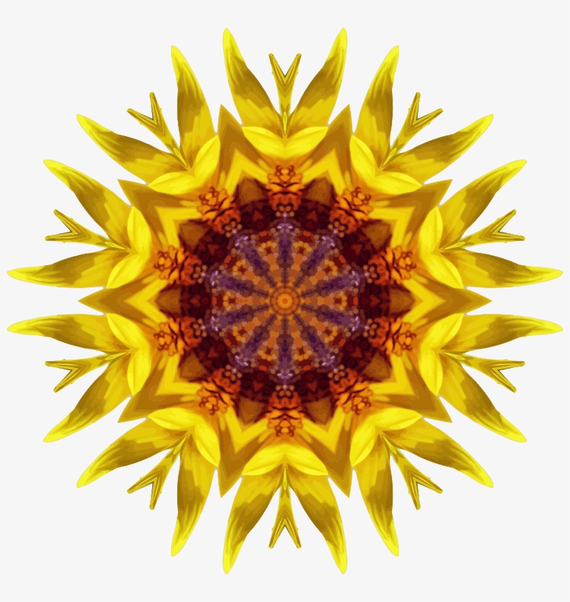 Medium Image - Common Sunflower, transparent png #1735662