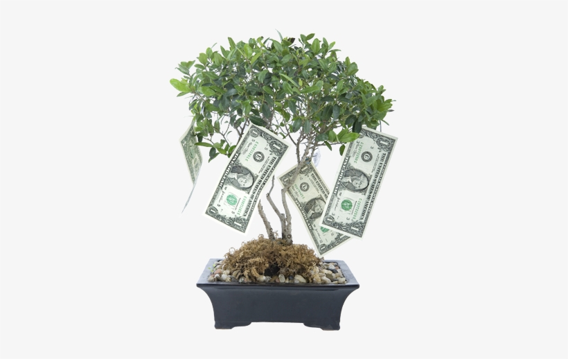 Money Tree - Money Blessings, transparent png #1735788