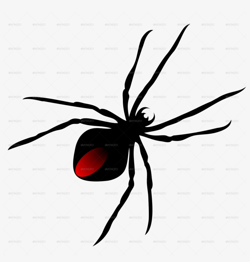Png 2000 - Spider Clip Art, transparent png #1735861