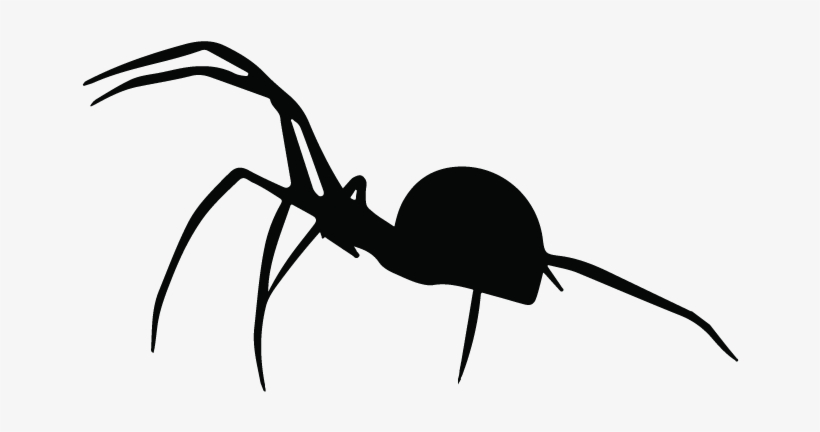 Spider, transparent png #1735932