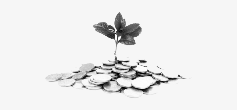 Jamaica's Economy, transparent png #1736504