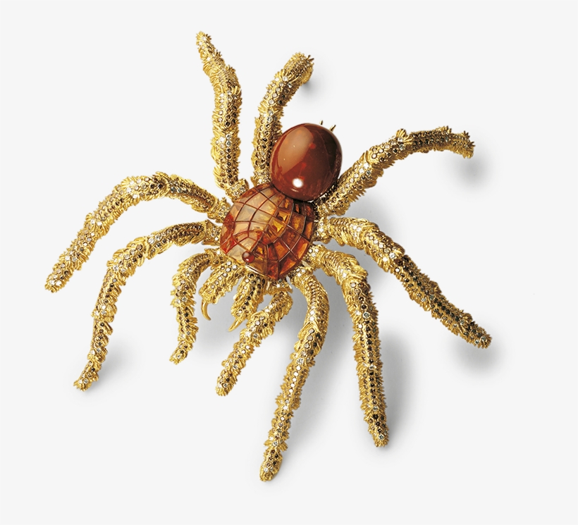 Hemmerle's Spider Brooch With Sapphires And Conch Pearl - Hemmerle, transparent png #1736920