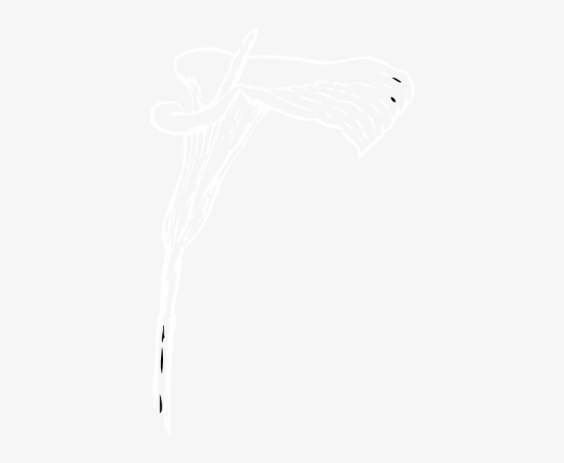 How To Set Use White Calla Lily Clipart, transparent png #1737565