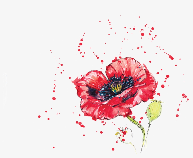 0 Replies 0 Retweets 0 Likes - Corn Poppy, transparent png #1738238