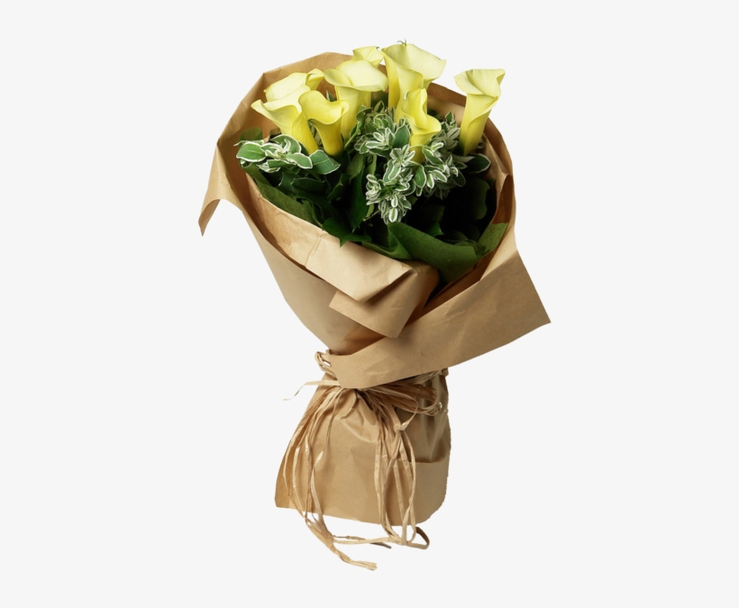 Soil, transparent png #1738258