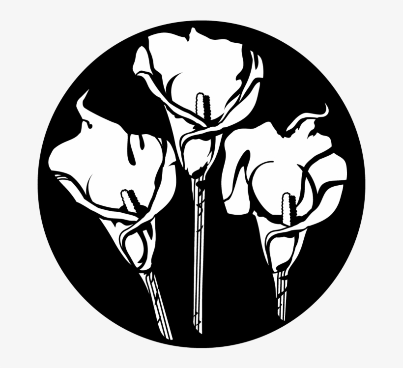 Calla Lily Trio - Apollo Calla Lily Trio Steel Gobo Ms-1185, transparent png #1738427