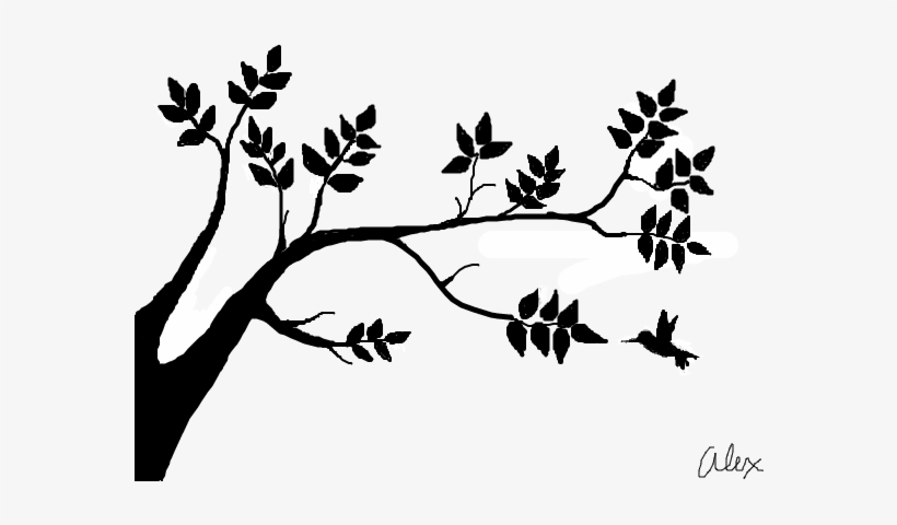 Tree Shadow - Drawing, transparent png #1738504