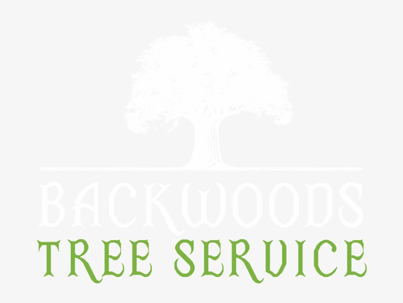 Backwoods Tree Service Logo - Backwoods Tree Service, transparent png #1738698