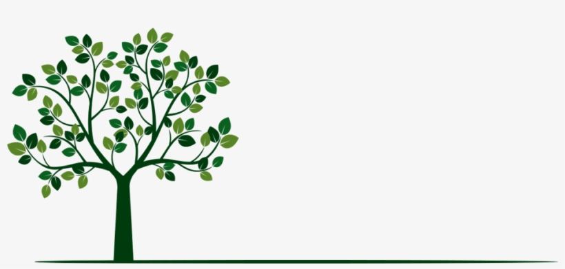 Tree Trimming & Removal From The Experts - Istock, transparent png #1738935