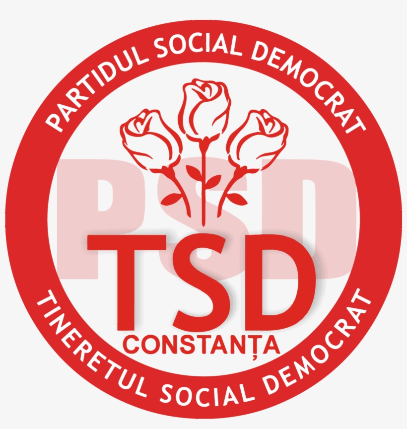 Logo - Saint Andrew's School Logo, transparent png #1739181